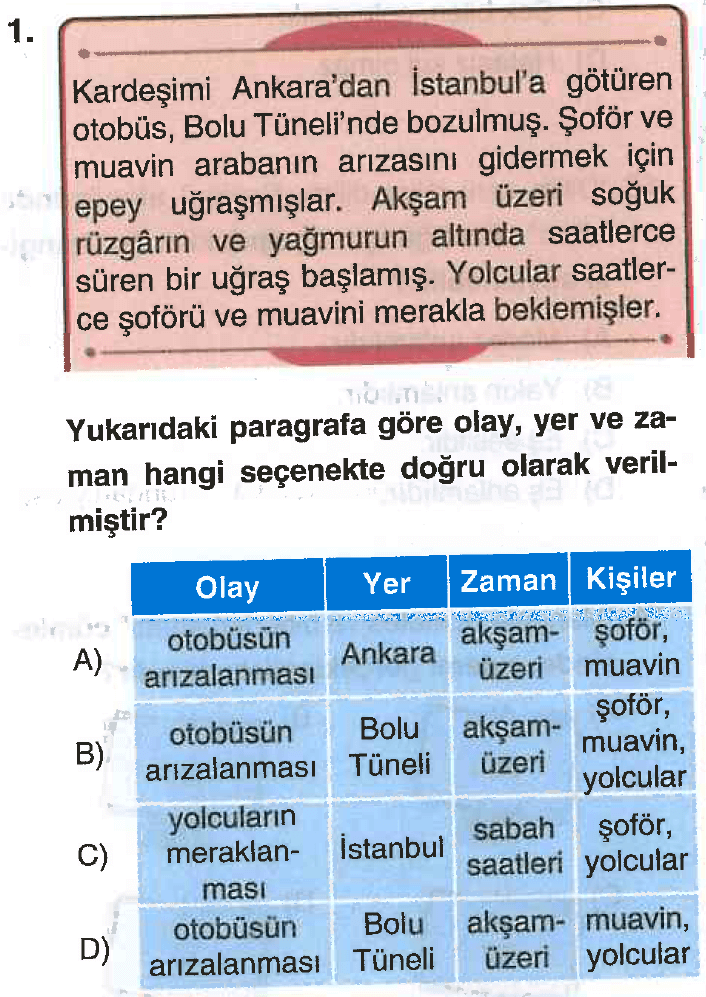 5. Sınıf Türkçe 6. Tema Testi Çöz