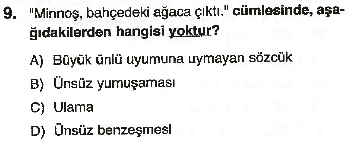 6. Sınıf Türkçe Ses Bilgisi Testi Çöz